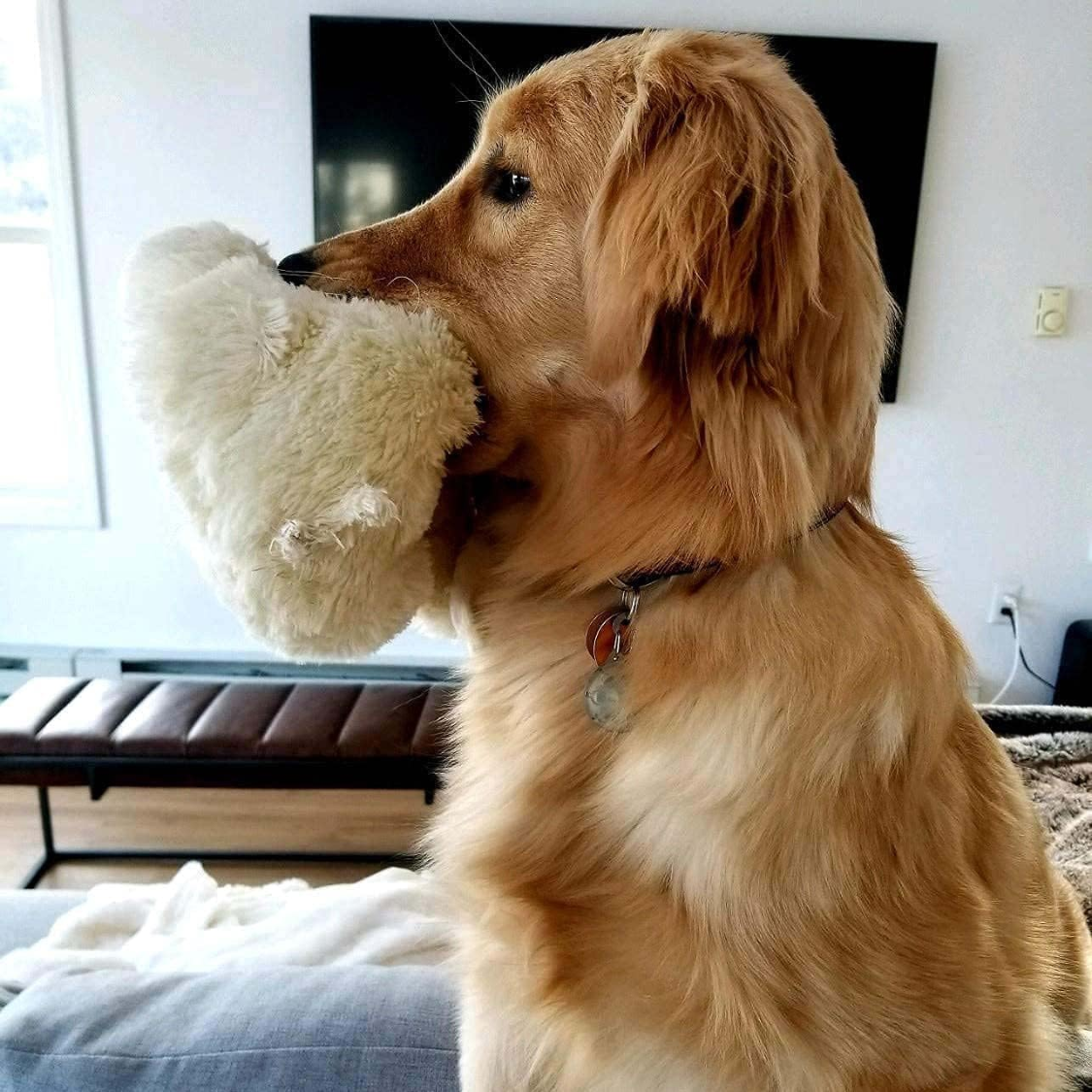 Peluche de Ritmo Cardíaco para Perros, Sentido Real de Latigazo Cardíaco, Ayuda al Sueño y Consuelo para Cámaras de Compra y Entrenamiento en Casa con Paquete de Calor, Diseño Plush Crema Suave — imagen 5