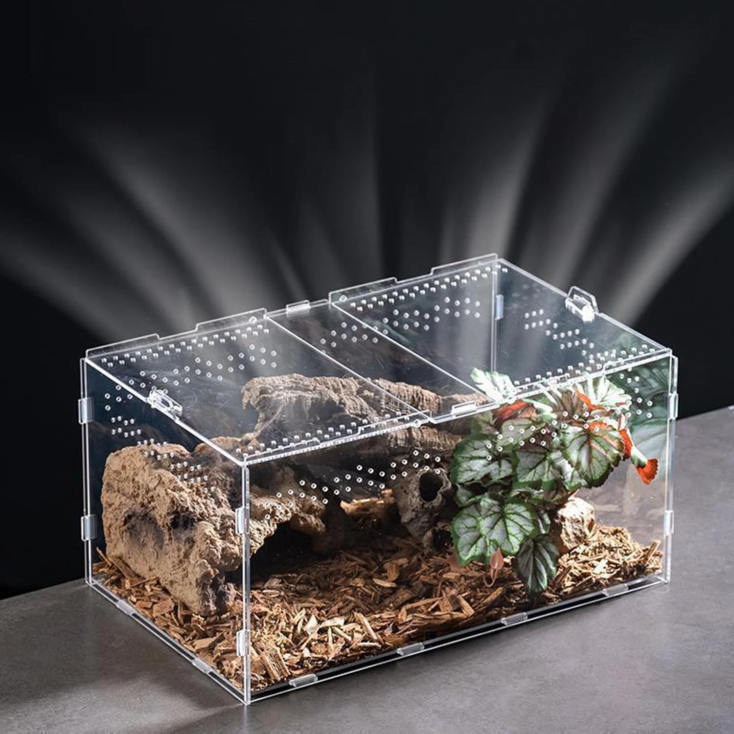 Terrario Transparente de Acrílico, Caja de Cría para Reptiles, Jaula para Tortugas, Recinto Nano Arbóreo para Tarántulas, Hábitat para Dragones Barbudos y Reptiles