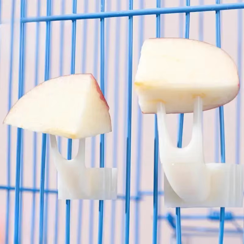 5pcs Tenedores para Fruta de Jaula para Aves en Material PP Duradero, Accesorios de Alimentación para Loros, Soporte de Snacks para Aves — imagen 1