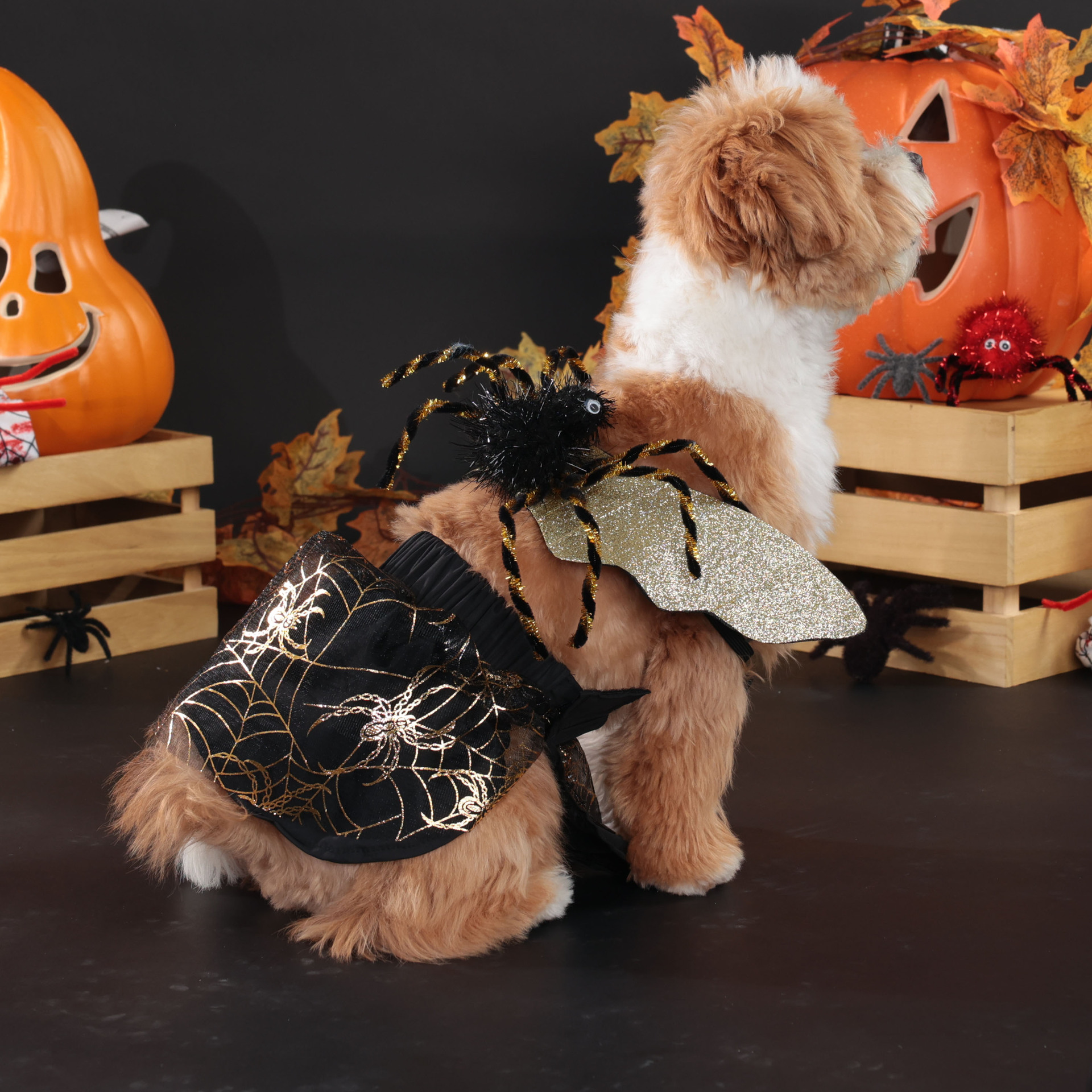 Halloween Pet Dog Costume Spooky Spider Wings Transformation Dress Set — image 5