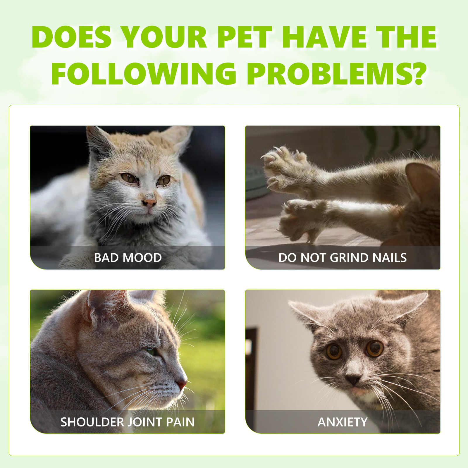Catnip Spray, Relieve Cat Anxiety And Enhance Pet Vitality Health Care Spray — image 6