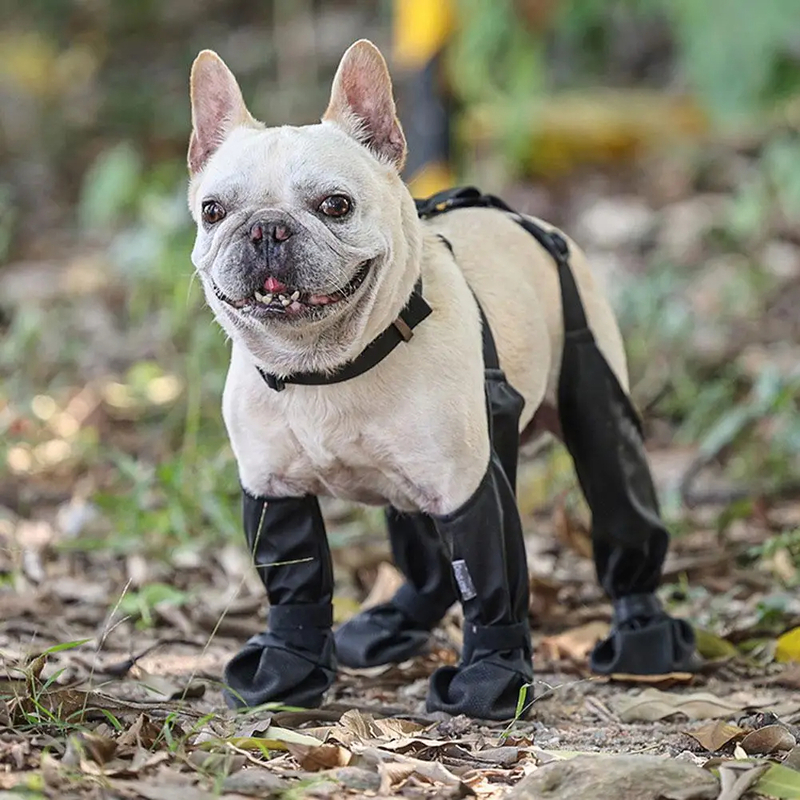 Botitas de Pelo para Perros - Calzado Impermeable Respirable para Pequeños, Medianos y Grandes Caninos - Productos Duraderos para Mascotas — imagen 2