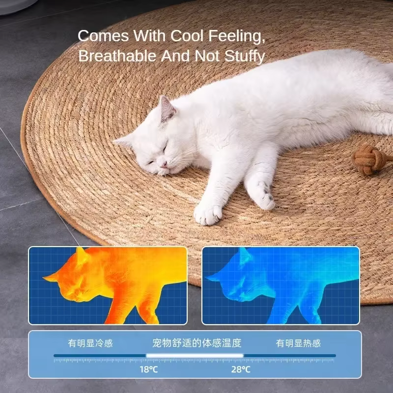 Pulido para Gatos con Madera de Caña: Tablero y Plataforma para Raspar Uñas, Protección para Sofás y Muebles — imagen 3