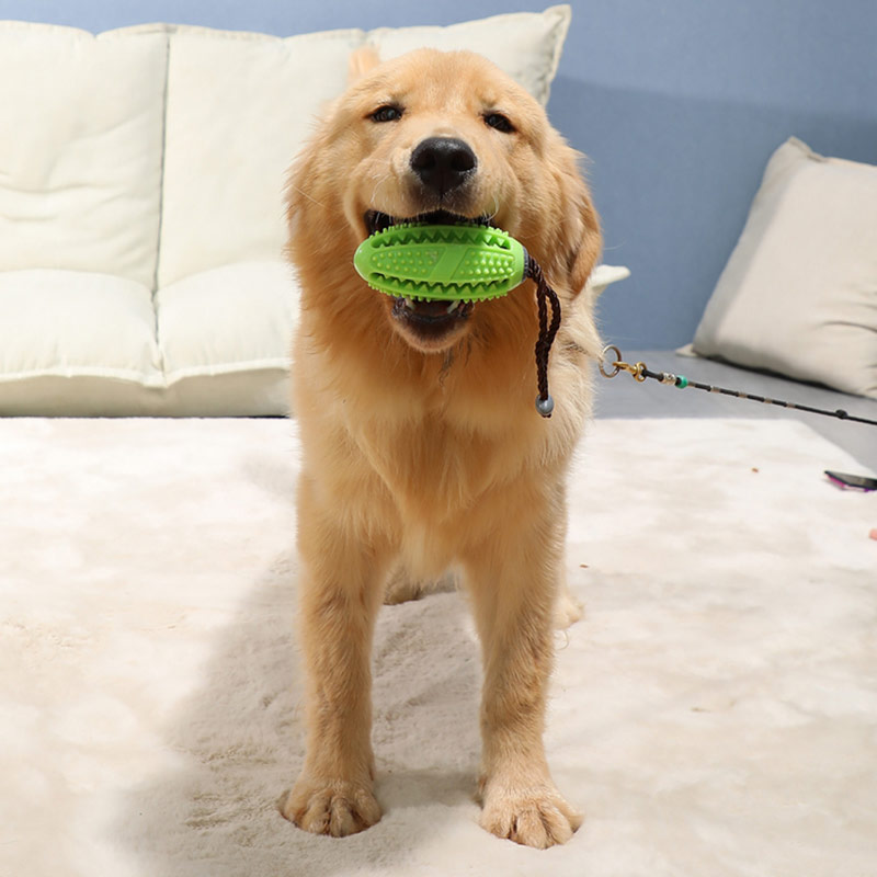 Dog Interactive Natural Rubber Ball Puppy Chew Toy Food Dispenser Ball Bite-Resistant Clean Teeth Pet Playing Balls Pet Dog Toys — image 5