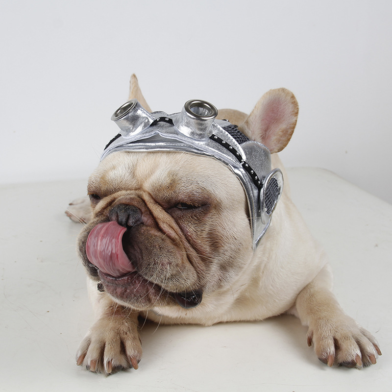 Disfraz de Fiesta para Mascotas — imagen 4