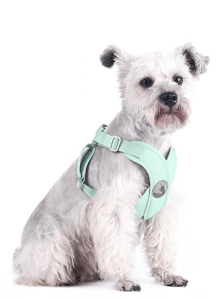 Pet Chest Strap New Macaron Fresh Summer Vest-Style Dog Leash Pet Supplies — image 5