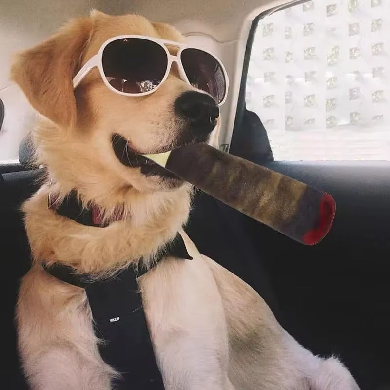 Funny Interactive Dog Toys Cigar Design Plush Squeaky Pet Toys Grinding Teeth Creative Chew Cool Stuffed Gifts for Dog Birthday — image 5
