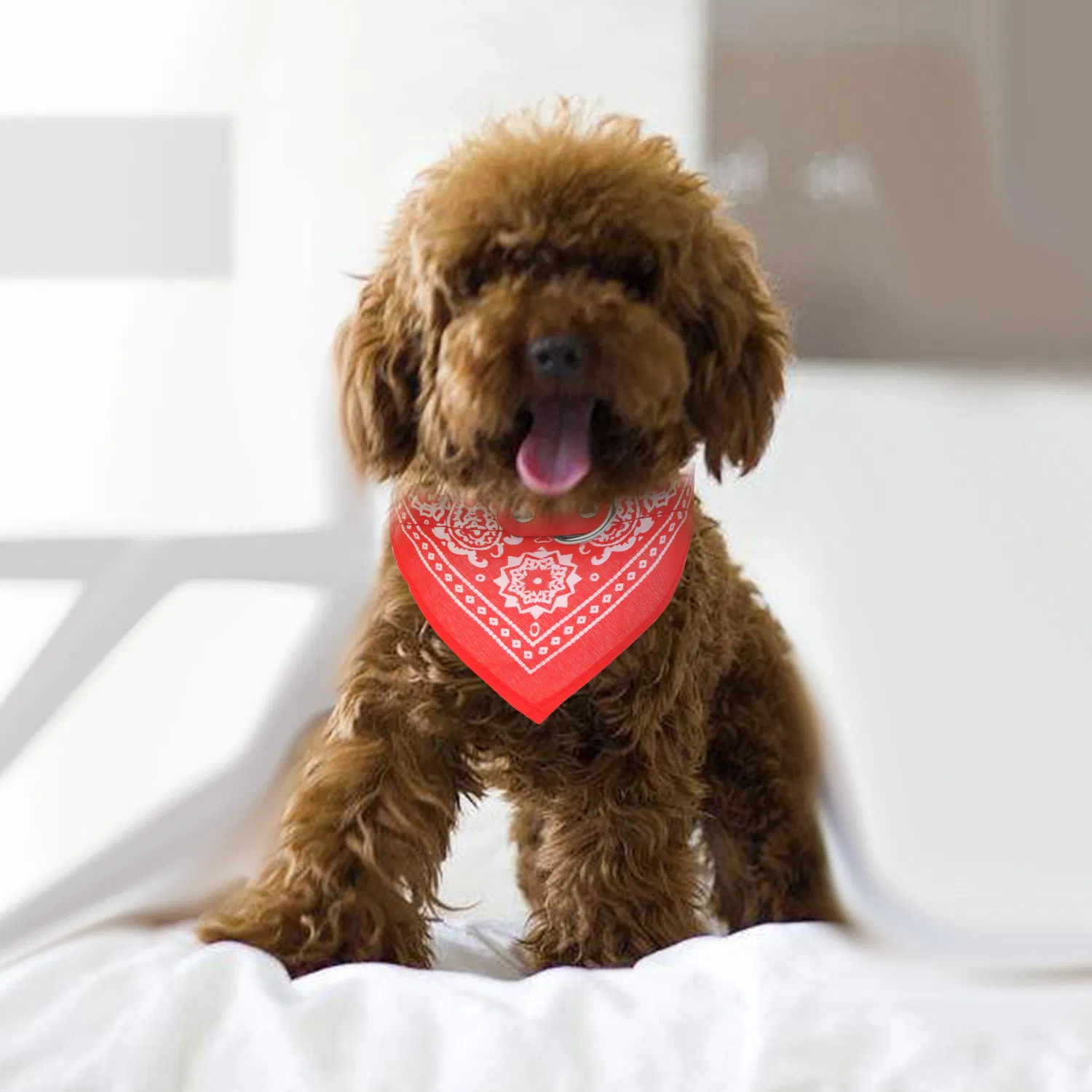 Adjustable Bandana Leather Pet Collar Triangle Scarf — image 1
