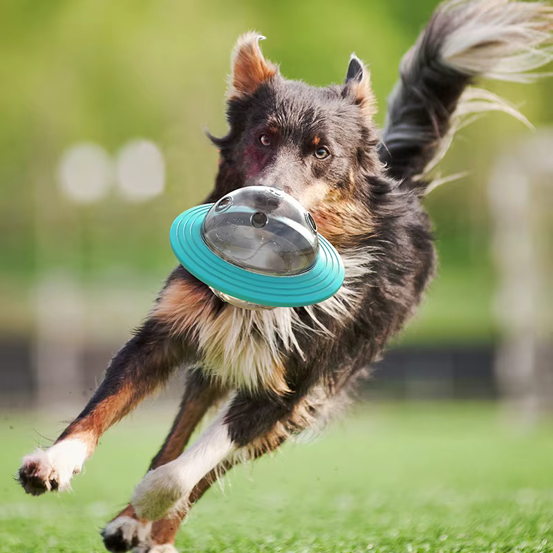 Dog Flying Saucer Toys Chew Leaking Slow Food Feeder — image 4