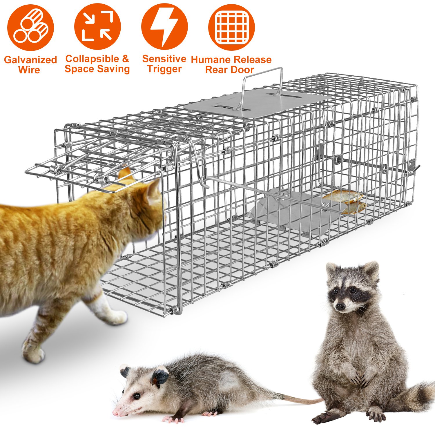 Cat Trap Cage Catch Release Live Animal Rodent Cage Foldable Galvanized Wire