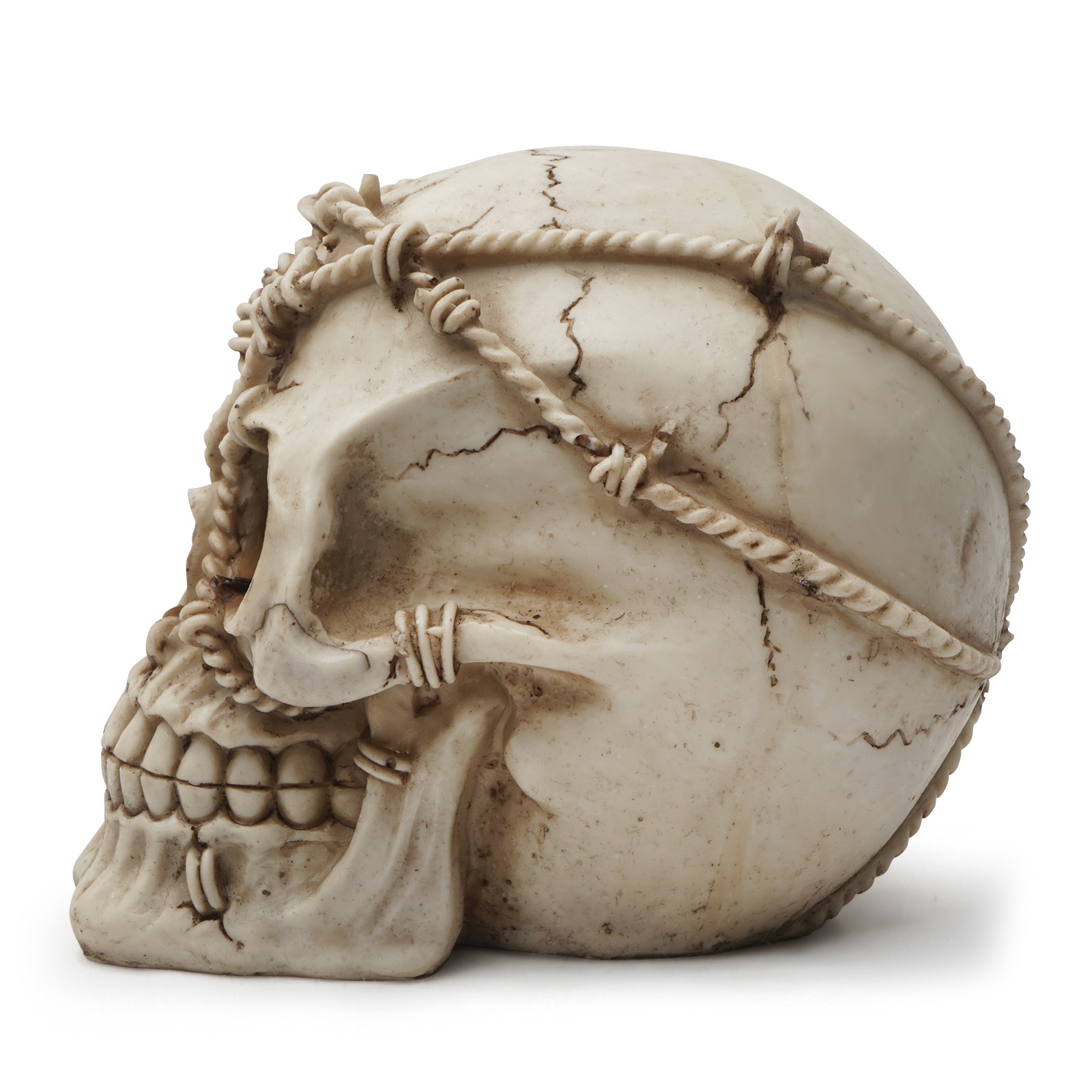 Resin Craft Skeleton Animal Skull — image 4