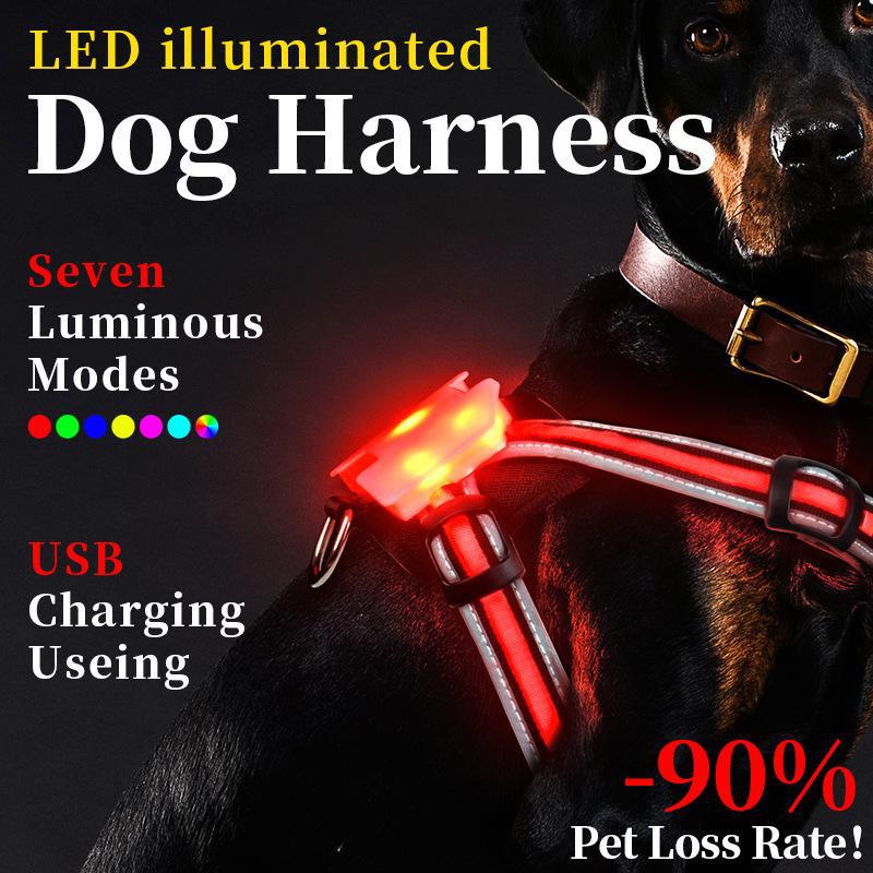 Chaleco de Paseo Nocturno para Perros, Tallas Grande, Mediana y Pequeña, Resistente a Explosiones, Flushing Dog Strap LED Luminosa — imagen 2