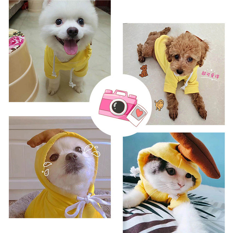 Cute Fruit Dog Clothes For Small Dogs Hoodies Winter Warm Fleece Pet Clothing Puppy Cat Costume Coat For French Chihuahua Outfit — image 13