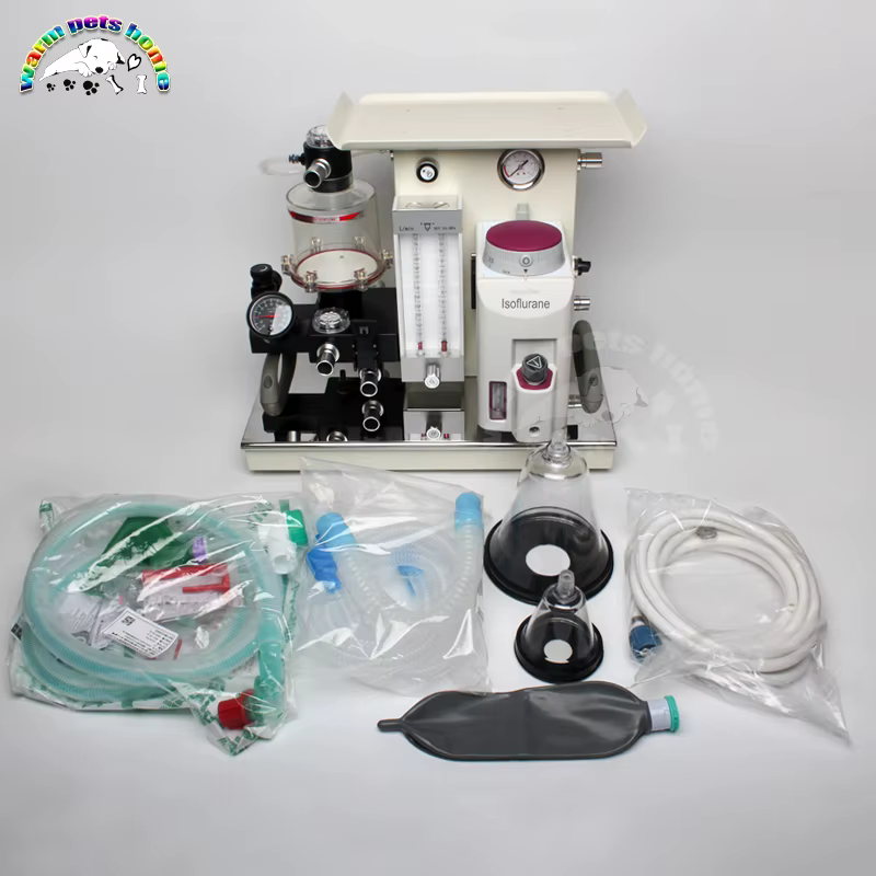 Veterinary Respiratory Anesthesia Ventilator Machine for Animals Dog Cat Vet Hospital Equipment — image 2