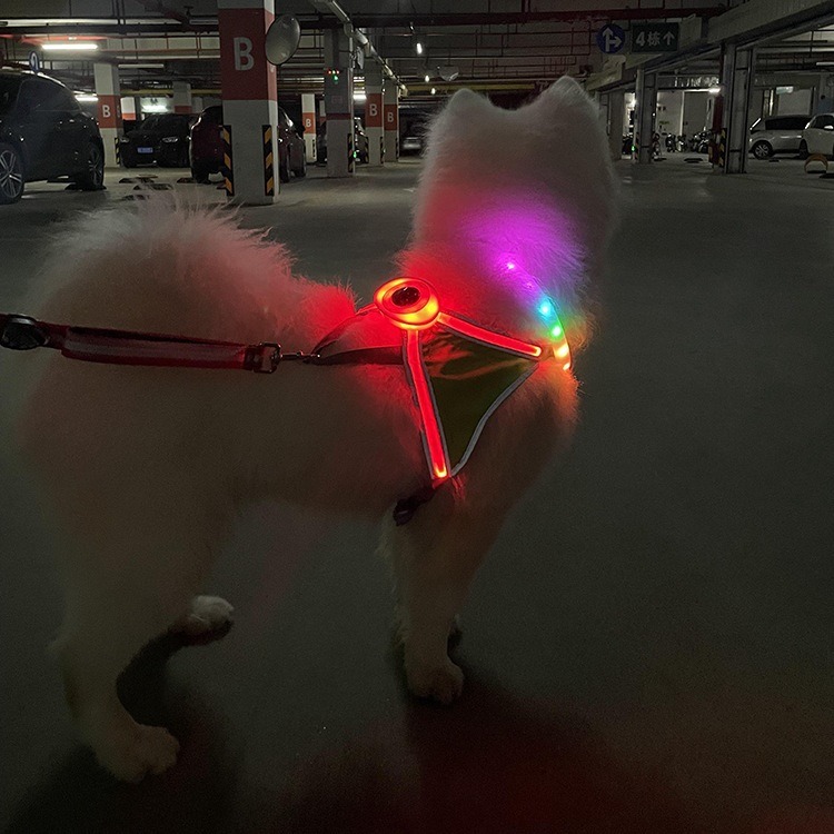 LED Pet Light-Emitting Sling Detachable Dog Reflective Sling Anti-Breakaway Cat Sling USB Charging Models — image 5