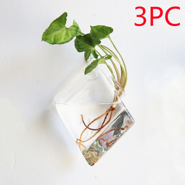 Vaso de Vidrio para Terrario Decorativo en Línea - Jardín Acuático para Hogar — imagen 9