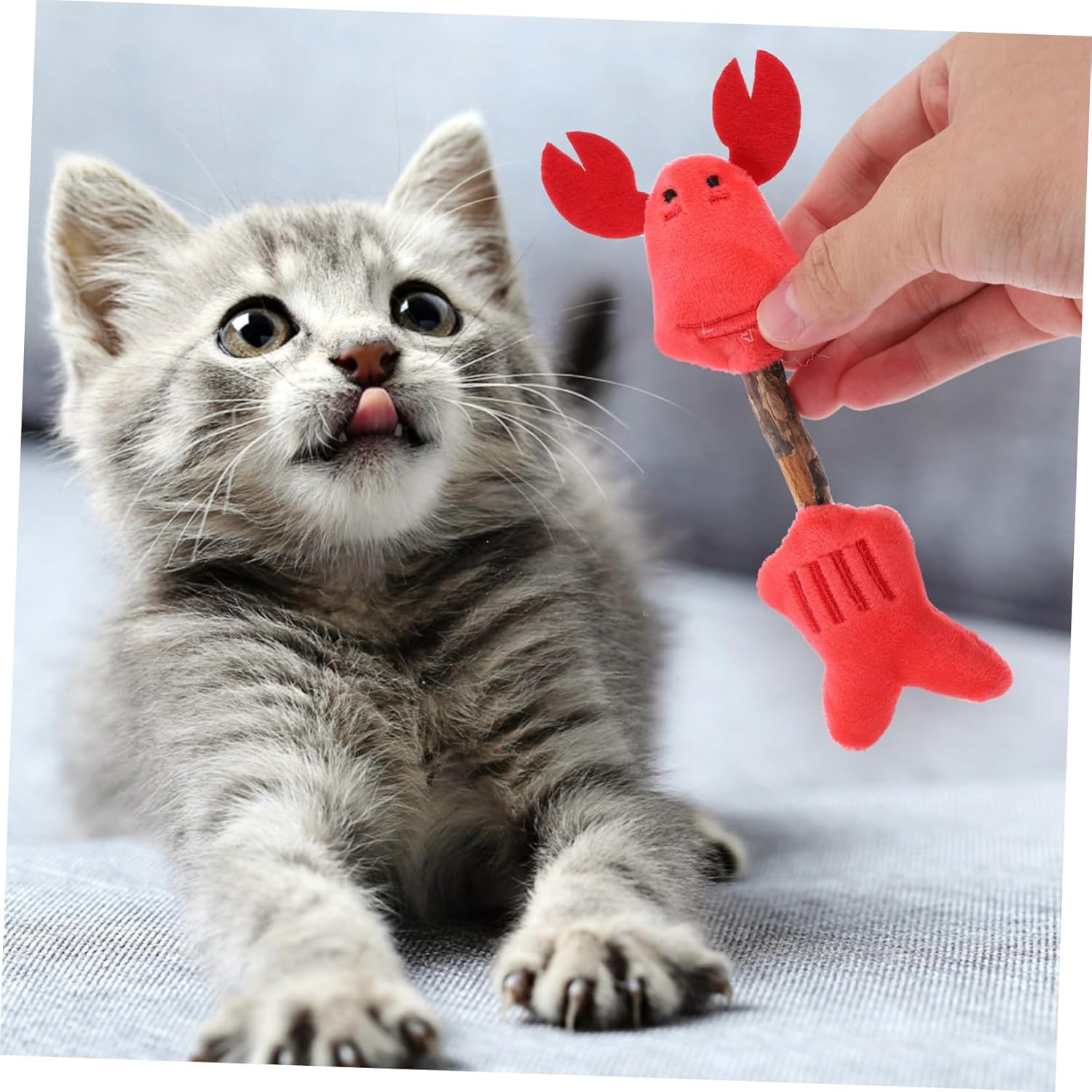 Cat Toy Kitten Toys Teeth Cleaning Toys Silvervine Sticks Cat Silvervine Stick Chew Sticks For Cats Cat Interaction Toys Kitten Plaything Cat Teaser Polygonum Wood The Cat — image 15