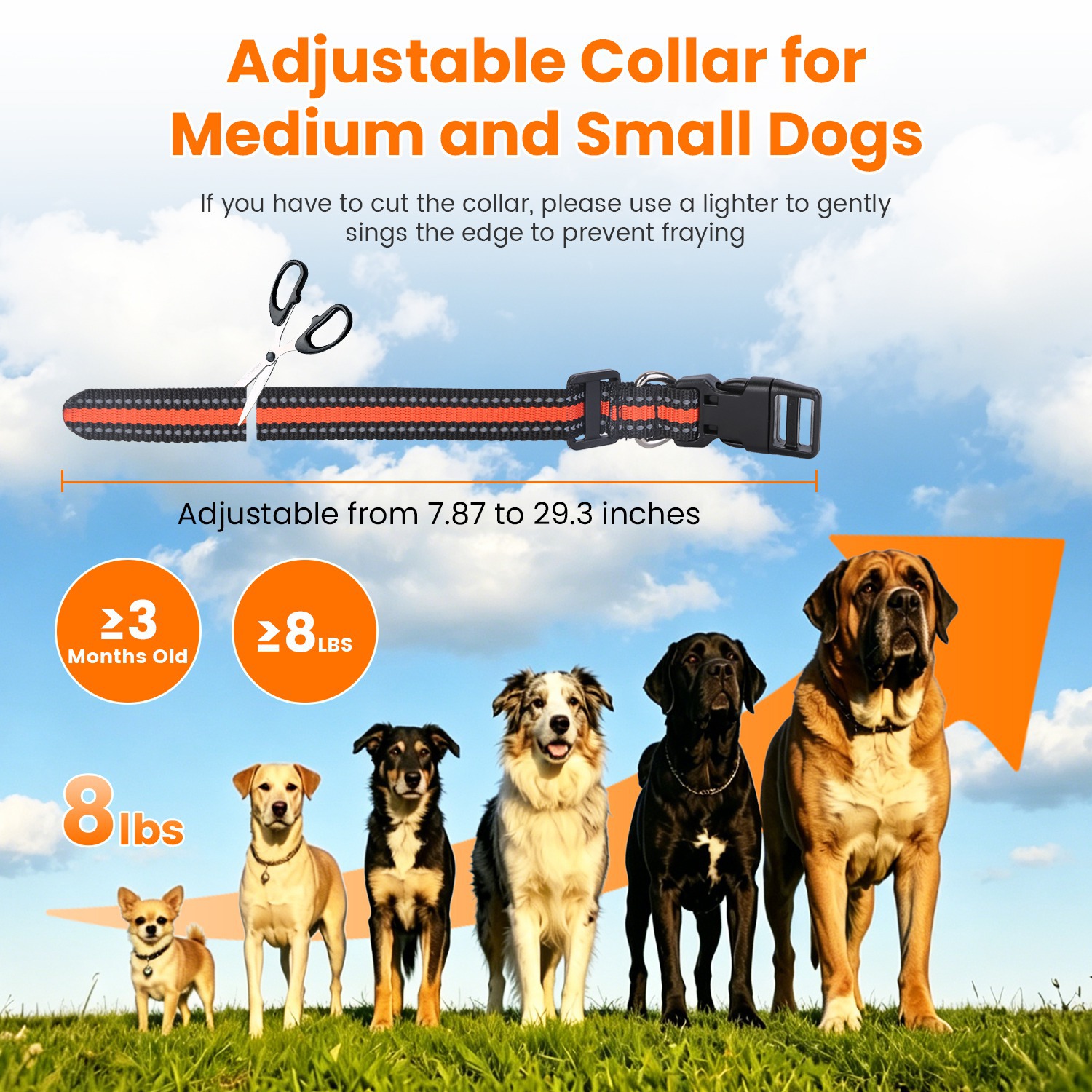 Sistema de Cerca Inalámbrica para Perros 2 en 1 con Collar de Entrenamiento, Cerca Invisible para Perros IP68 a Prueba de Agua con Alcance Ajustable de 722 Pies, Pitido, Vibración y Descarga Estática — imagen 13