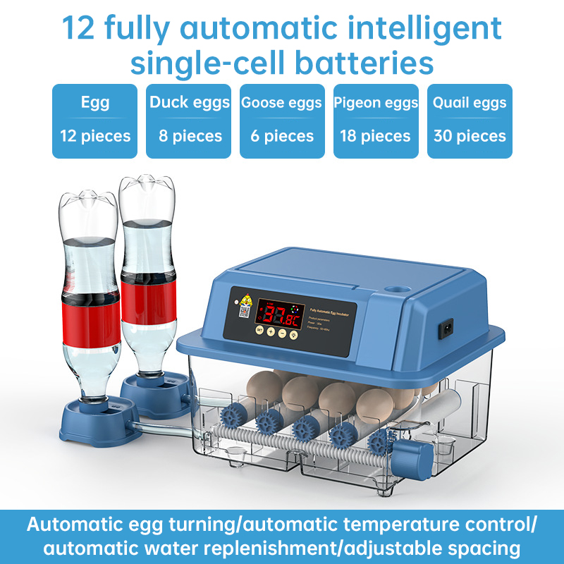 Automatic Egg Incubator 12/15/24 Eggs with Auto Turner & Temp Control, Poultry Hatcher for Chicken Duck Quail — image 3