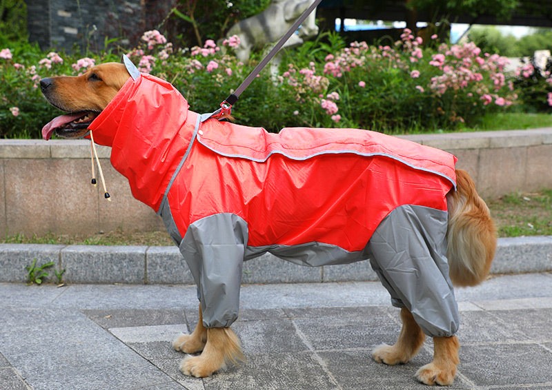 Chaquetón de agua para perros, procesamiento de ropa para mascotas, chaqueta grande para cuatro patas con pelaje dorado — imagen 5