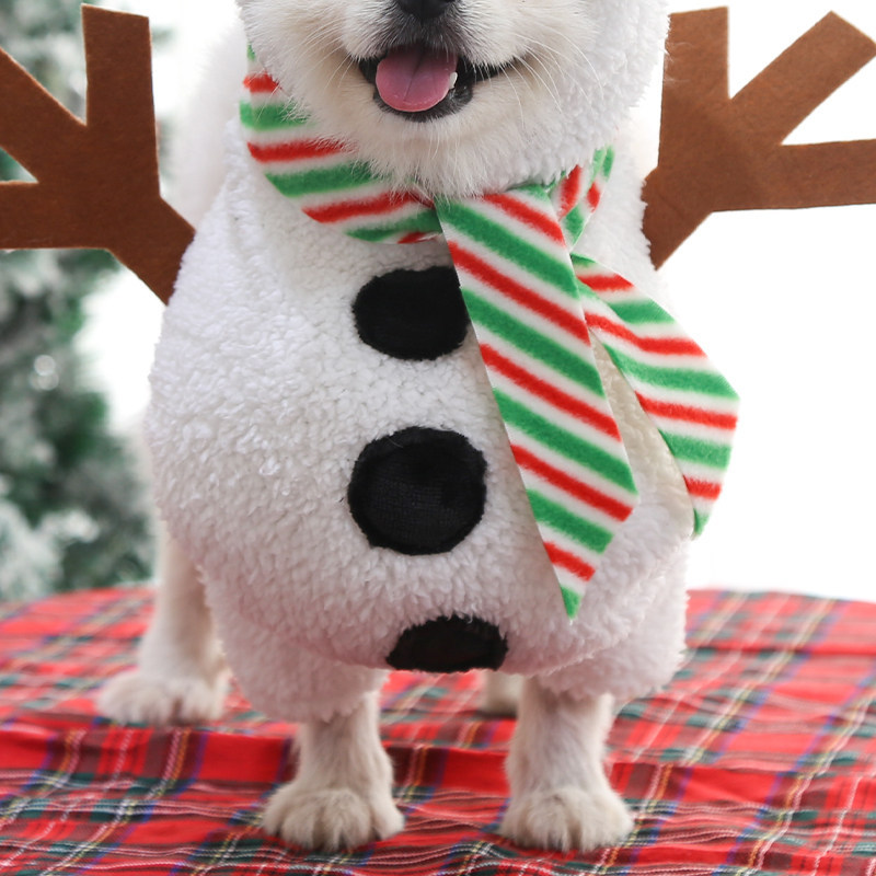 Pet Costume Outfit for Small Medium Dogs Cats Teddy Bichon Corgi Schnauzer Pomeranian — image 4