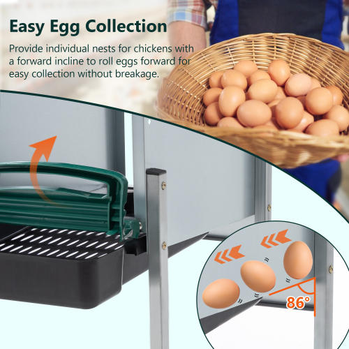 Nido para Gallinas de 4 Orificios, Con Patas y Tapa Para Proteger los Huevos, Verde — imagen 7