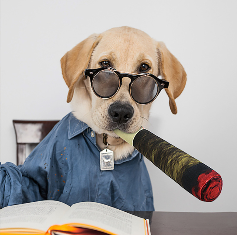 Dog voice toy green simulation cigar plush pet toy — image 4