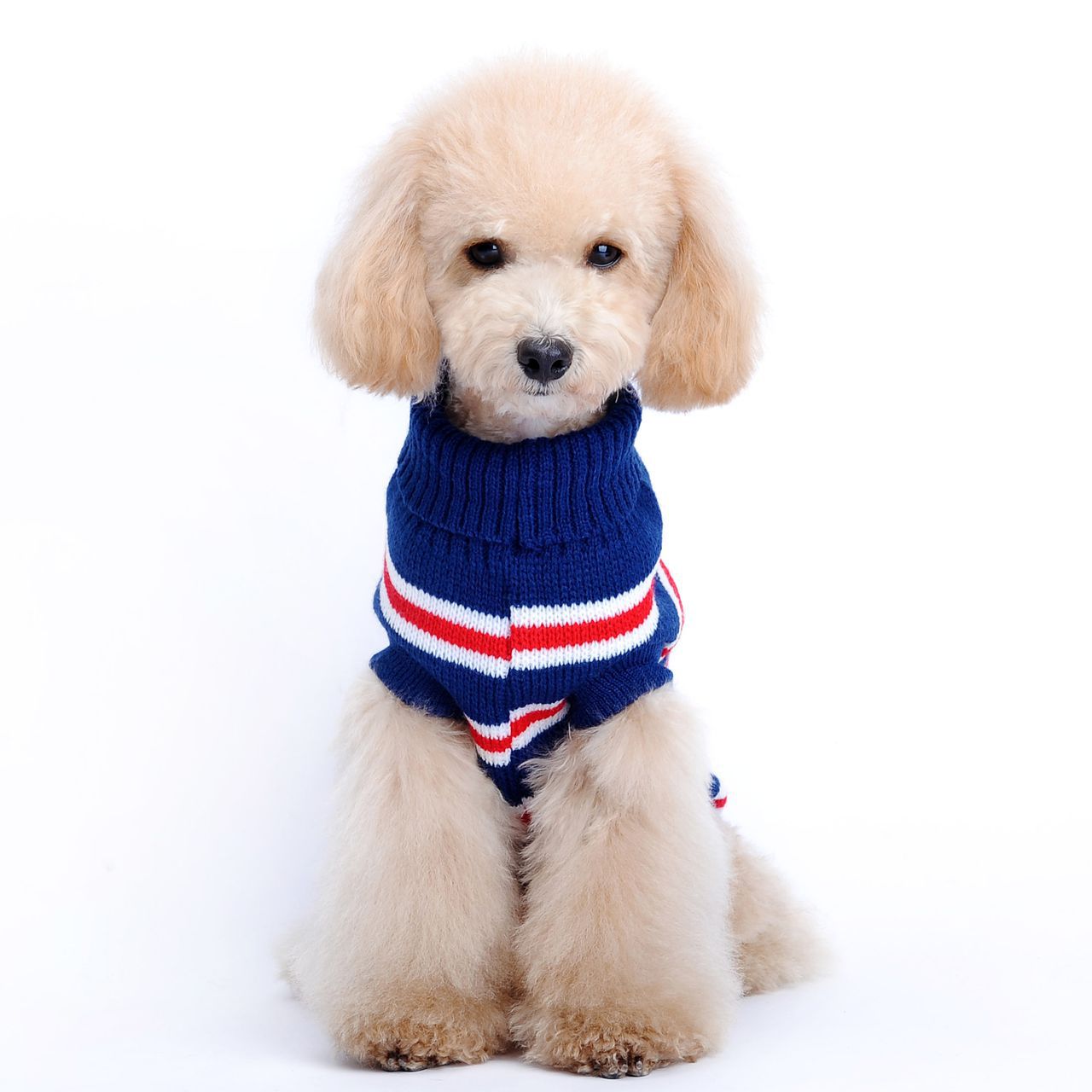 Autumn And Winter New Pet Sweater Horizontal Stripe Pattern Dog Clothes Pet Clothes — image 3