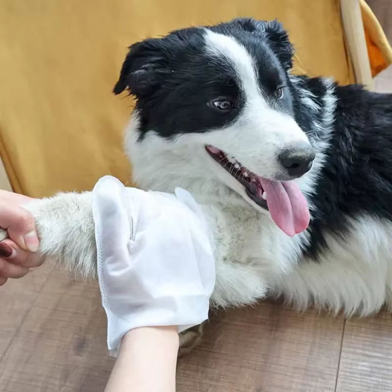 6PCS Cat Dog Disposable Glove Towels Pet Wash Free Glove No Rinse Washing Gloves Towels Deodorizing Dry Cleaning Wet Towels — image 2