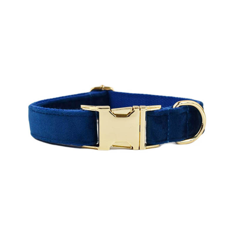 Collar de perro Velvet Collection con grabado personalizado — imagen 7