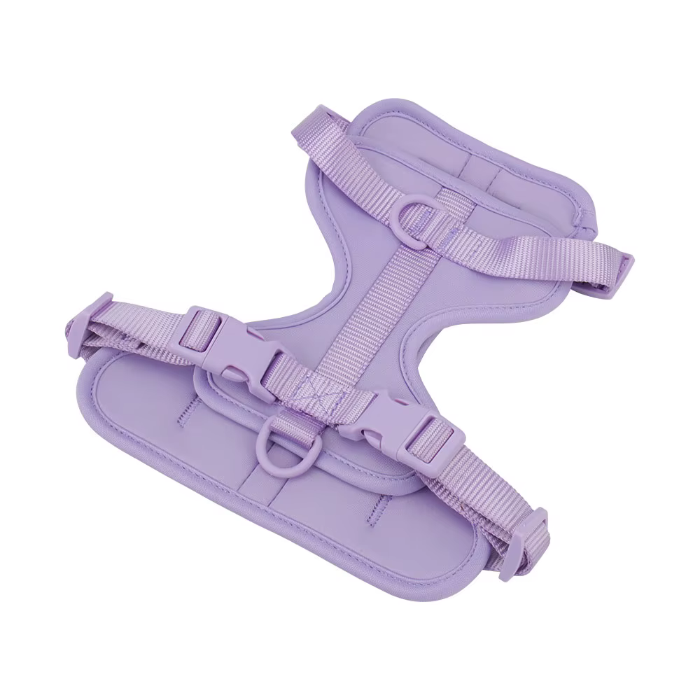 Dog Harness Outdoor Walk Training Fashion Pet Chest Strap Pet Harenss for Small Medium Dog — image 4