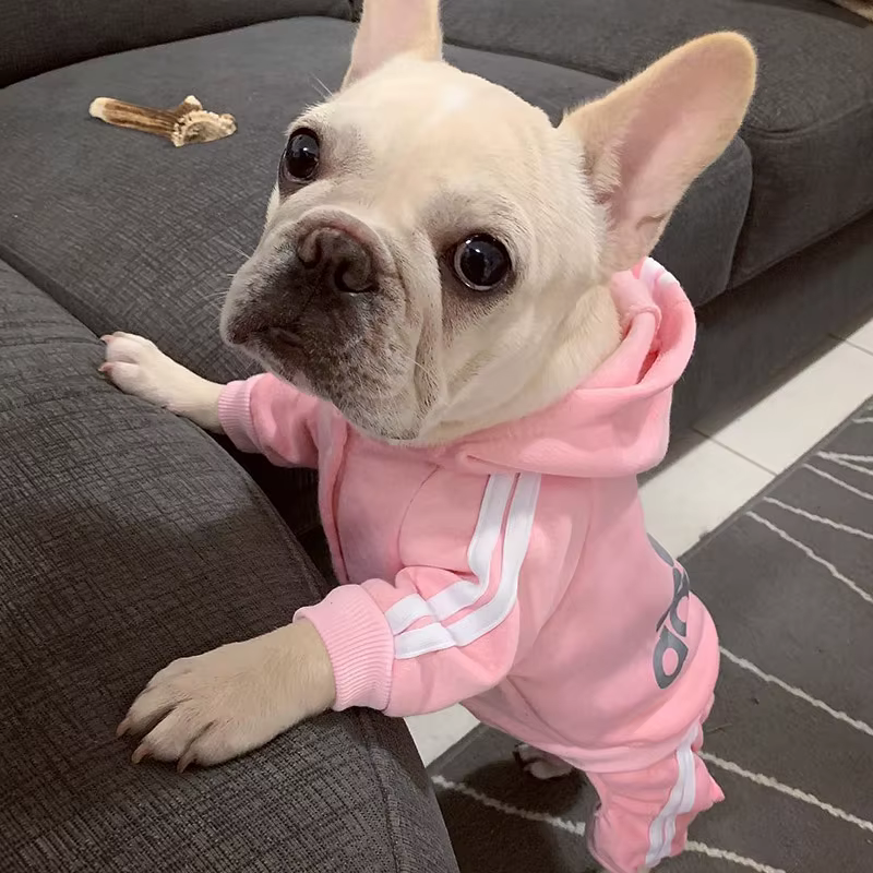 Traje de deporte para perros con capucha - Chaquetas y overoles para pequeños perros — imagen 3