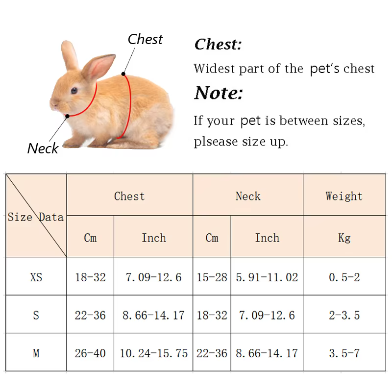 Cute Angel Wing Pet Rabbit Harness and Leash for Cats Rabbits Personalized Rabbit Harnesses Bunny Accessories Hamster Clothes — image 2