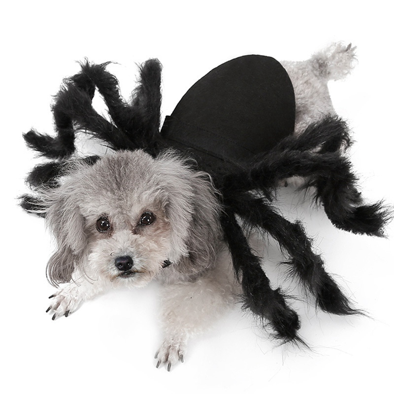 Ropa de Araña para Mascotas: Disfraz de Halloween para Perros y Gatos con Pelo Largo Negro — imagen 1