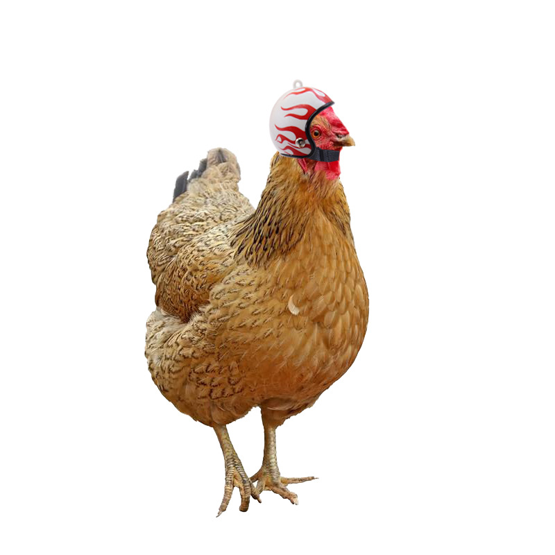 New Helmet Chicken Pet Supplies Funny Helmet Chicken Hat Chicken Helmet Protection Pet Chicken Headgear — image 1