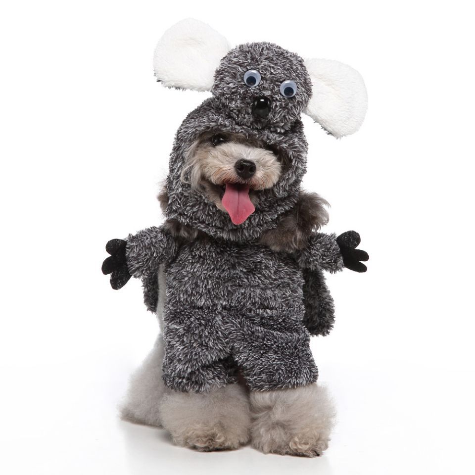 Thick dog cotton coat for pets — image 1