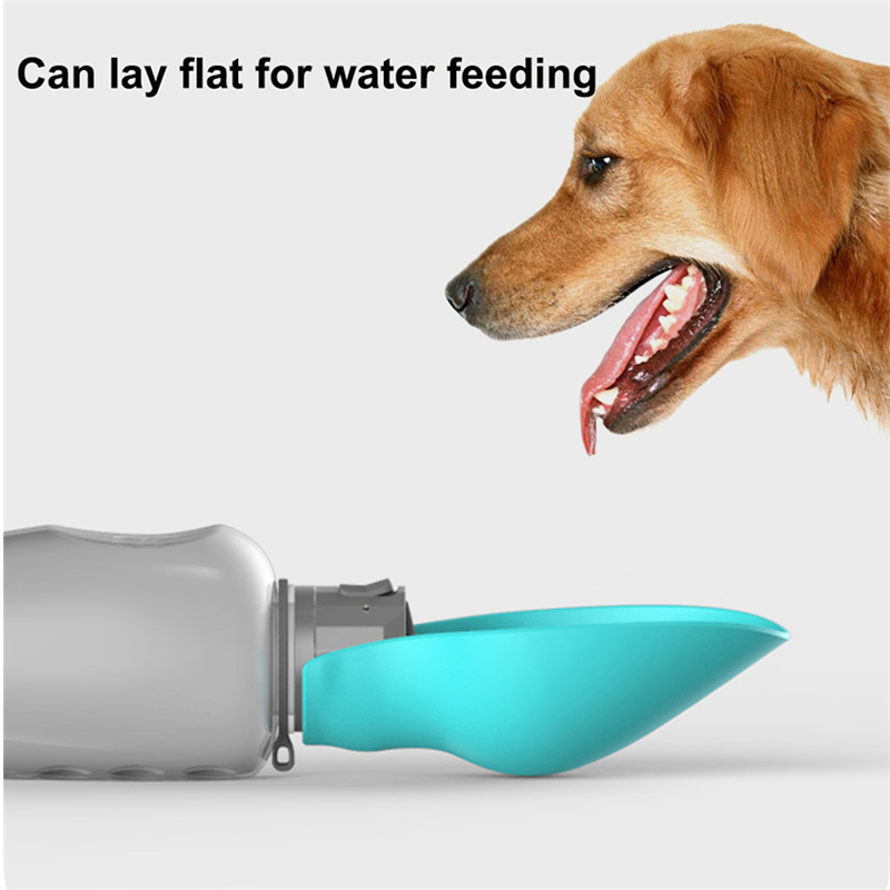 800ml Dogs Water Bottle Portable High Capacity Leakproof Pet Foldable Drinking Bowl Golden Retriever Outdoor Walking Supplies Pet Products — image 15