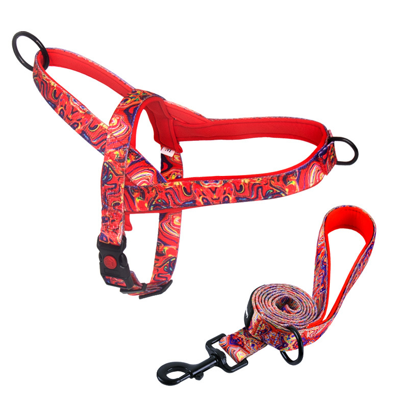 Arnés de Perro con Función Antipulido para Razas Medianas y Grandes, Labradores, Golden Retriever, Correa de Perro, Cadena de Perro — imagen 1
