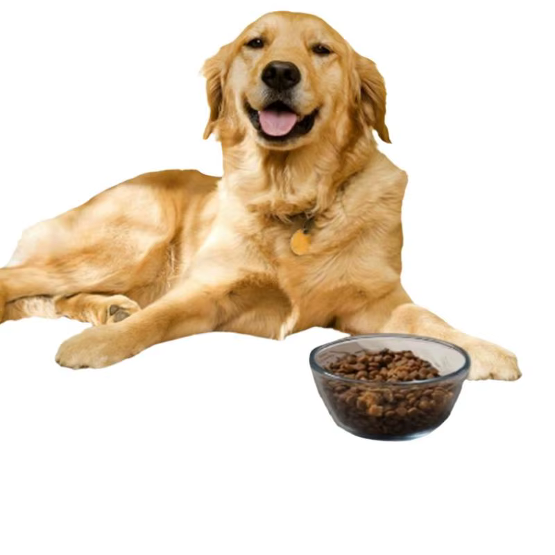 Manta de Alimentación para Mascotas - Placemat Absorbente para Comida y Agua con Aislamiento de Goma Impermeable, Seca Rápido para Perros y Gatos — imagen 5