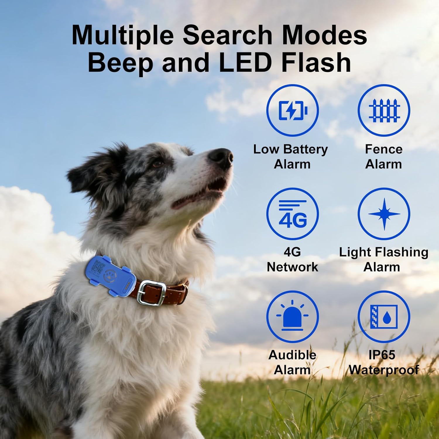 Rastreador GPS para Perros en Tiempo Real, Protección Antipérdida con Geocortina y Alarma Sonora y Luz, Trackede sin Límite, Compatible con la Mayoría de Collares de Mascotas, Suscripción Obligatoria — imagen 8