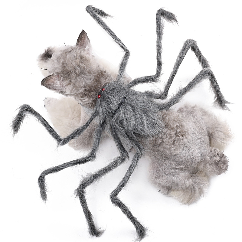 Ropa de Halloween para mascotas - Araña gigante que se transforma en ropa de perro — imagen 1