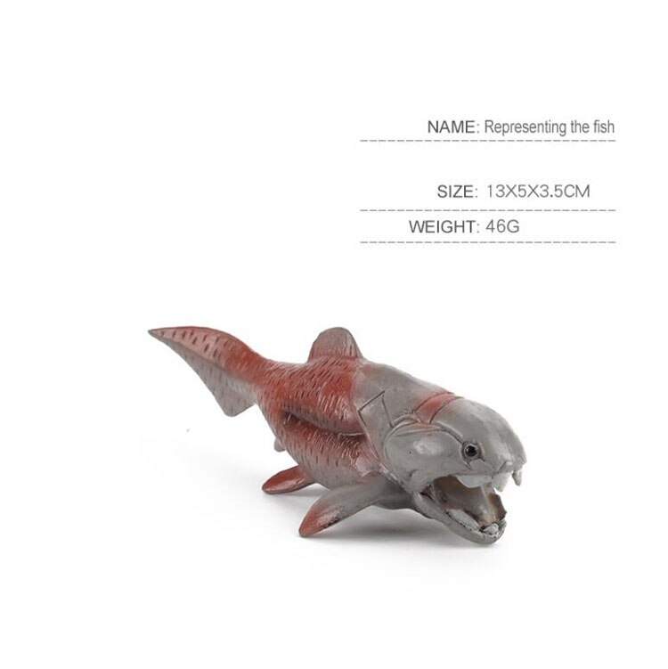 Figuras de Animales Marinos Antiguos para Decoración - Peces, Calamares y Ammonites — imagen 3
