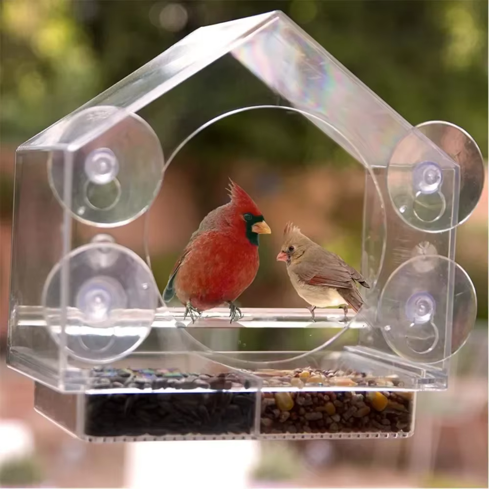 Comedero Colgante de Acrílico Transparente para Ventana, Casa Comedero para Aves con Ventosa, para Semillas y Maní — imagen 5