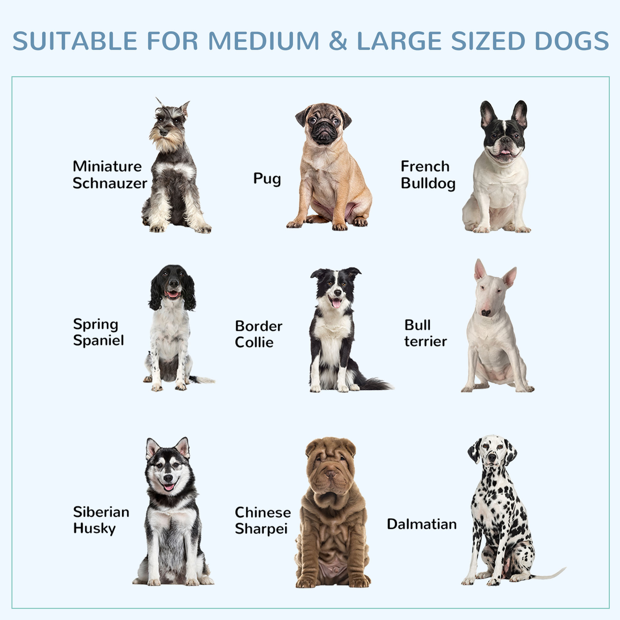 43" Heavy Duty Dog Crate Metal Cage Kennel with Lockable Wheels, Double Door and Removable Tray, Gray — imagen 7