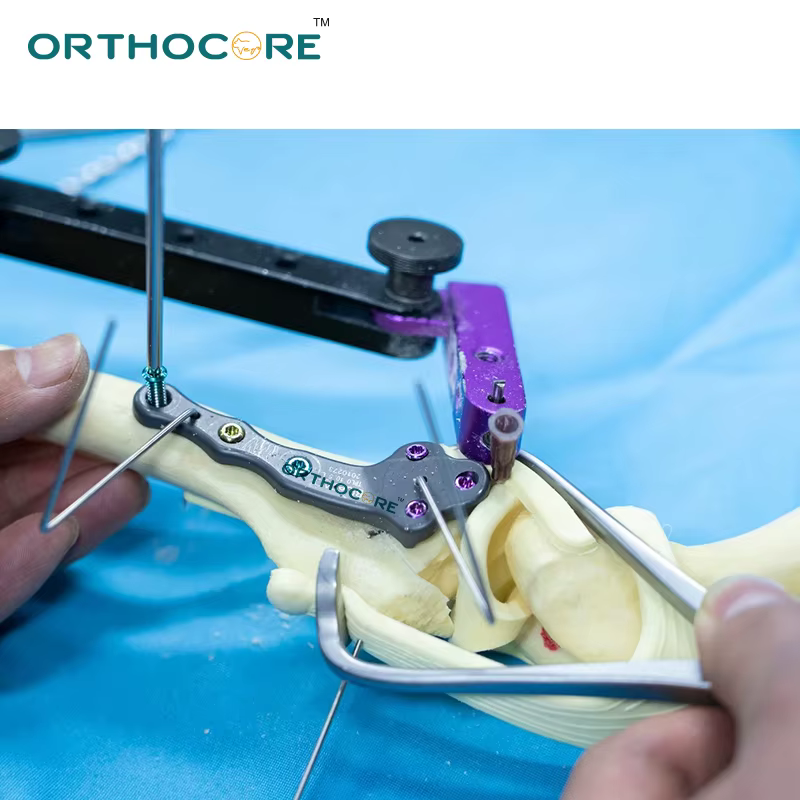 Pinzas de Reducción TPLO fabricadas por mecanizado CNC instrumentos veterinarios ortopédicos equipo ortocore veterinario — imagen 6