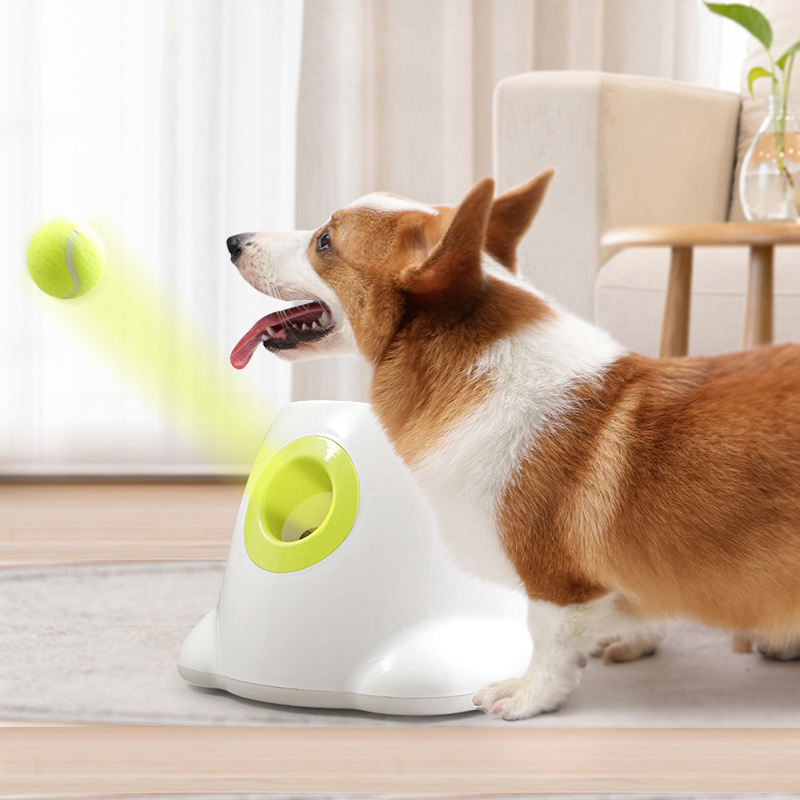 Lanzador Automático de Pelotas para Mascotas Interactivo con Red y Bola — imagen 1