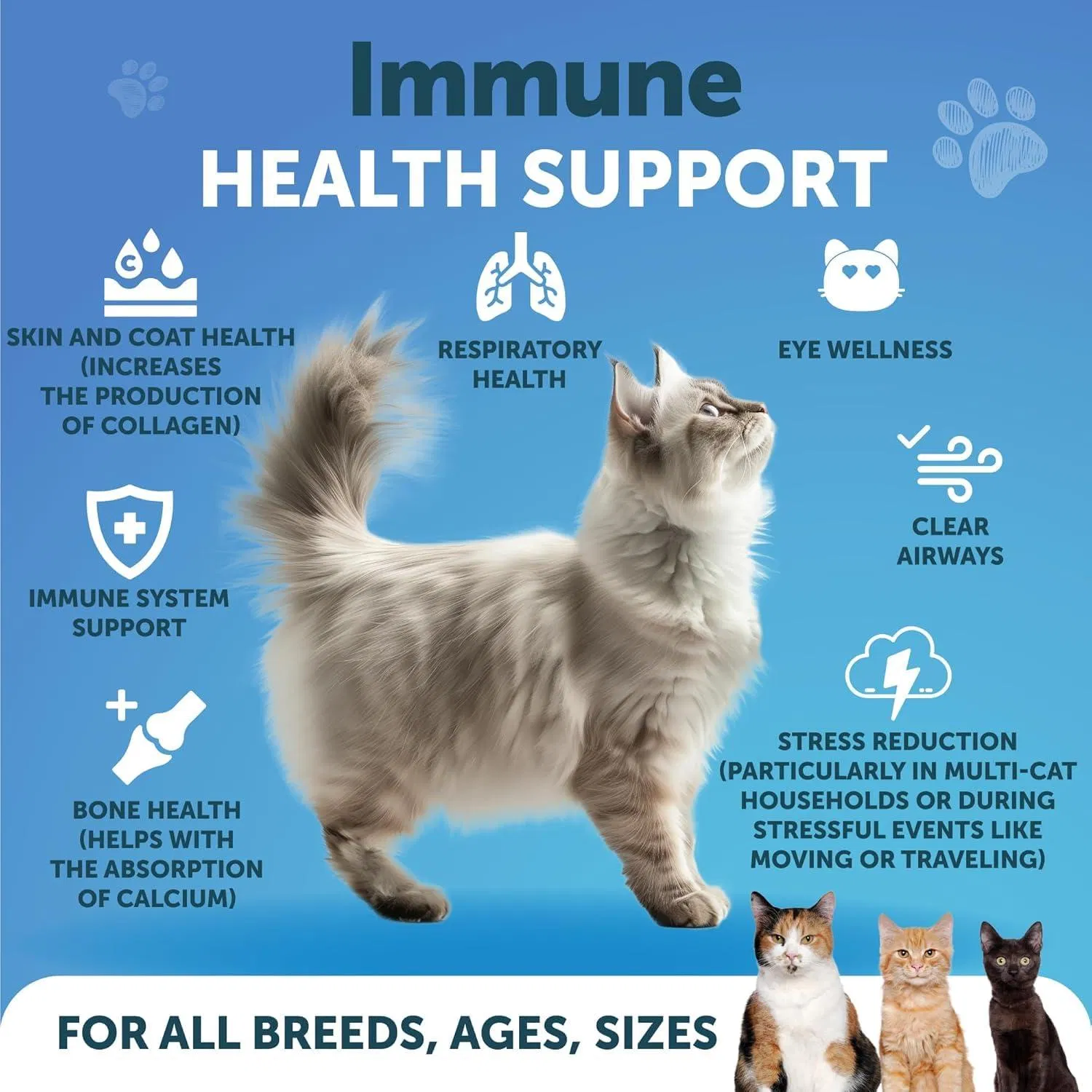 Lisina para Gatos - No Vender en Amazon: Suplemento en Polvo de 900 mg por Servicio con Taurina para Salud Respiratoria y Inmunológica de Gatos y Gatitos — imagen 7