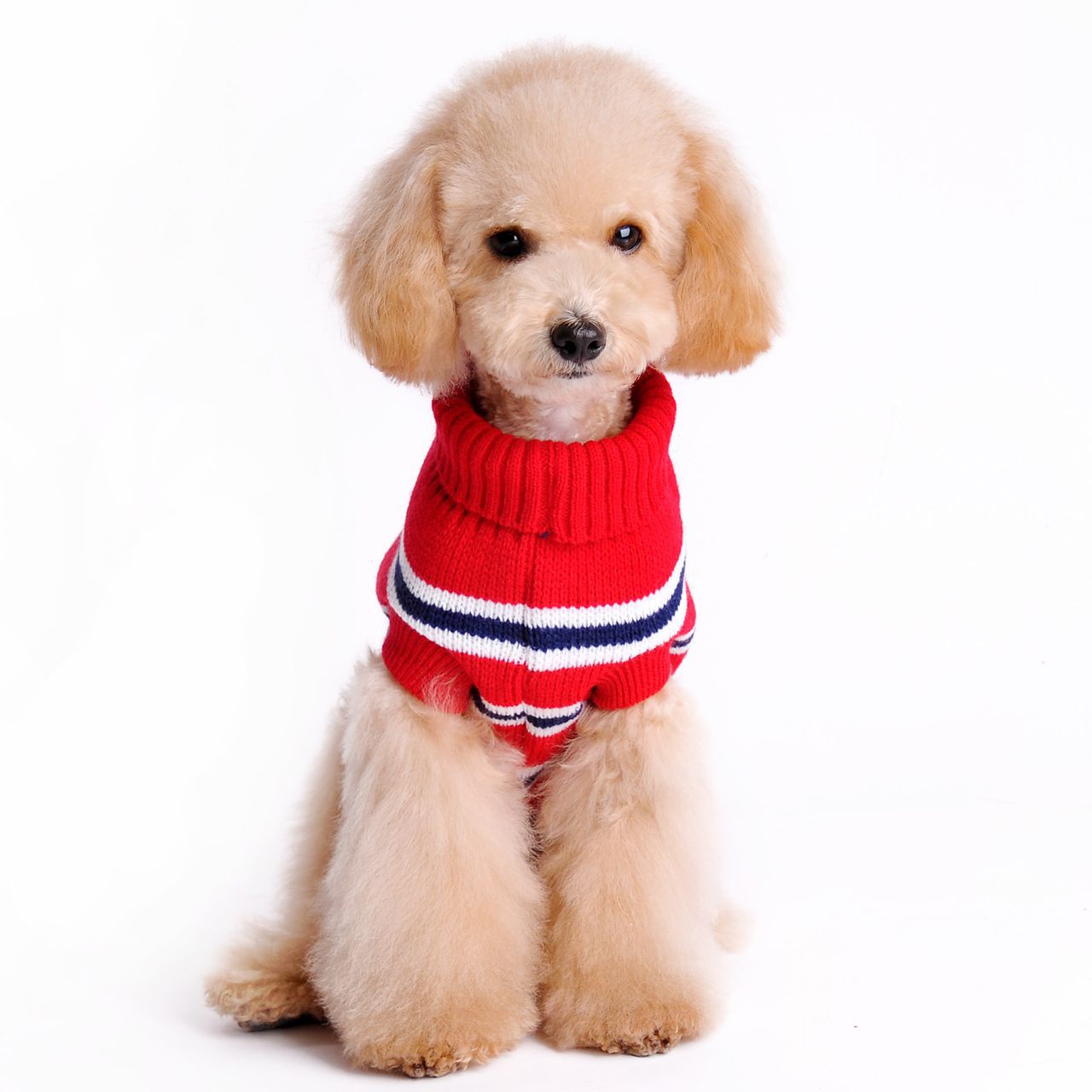 Autumn And Winter New Pet Sweater Horizontal Stripe Pattern Dog Clothes Pet Clothes — image 2