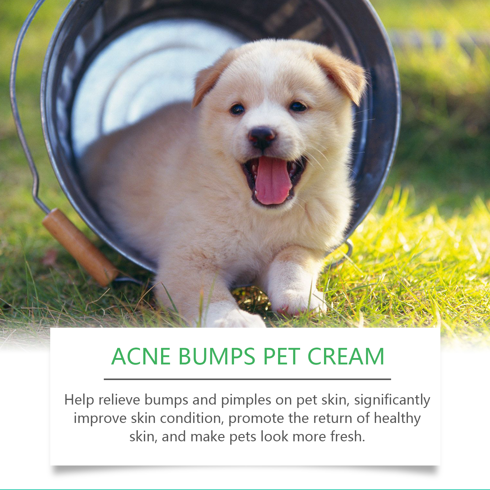 Pet Acne & Bumps Skin Cream, Soothing Skin For Dogs & Cats, Relief Redness Irritated Skin With Calendula & Ganoderma Extract — image 2