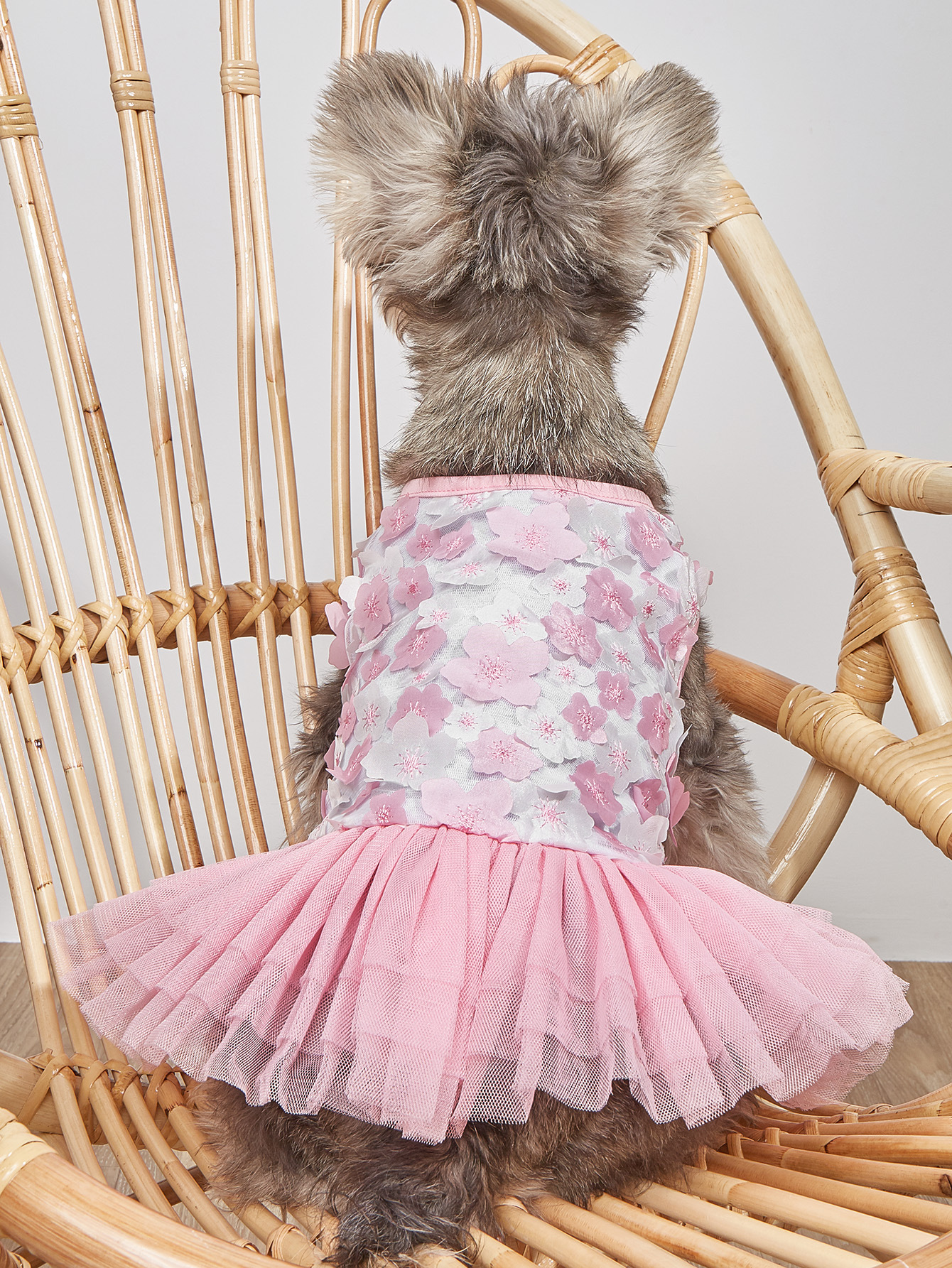Ropa de Perro con Faldita Floral para Primavera y Verano - Falda Puff para Cachorros y Gatos Pequeños en Color Naranja — imagen 1